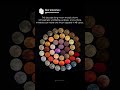 48 Moon Colors In Decade