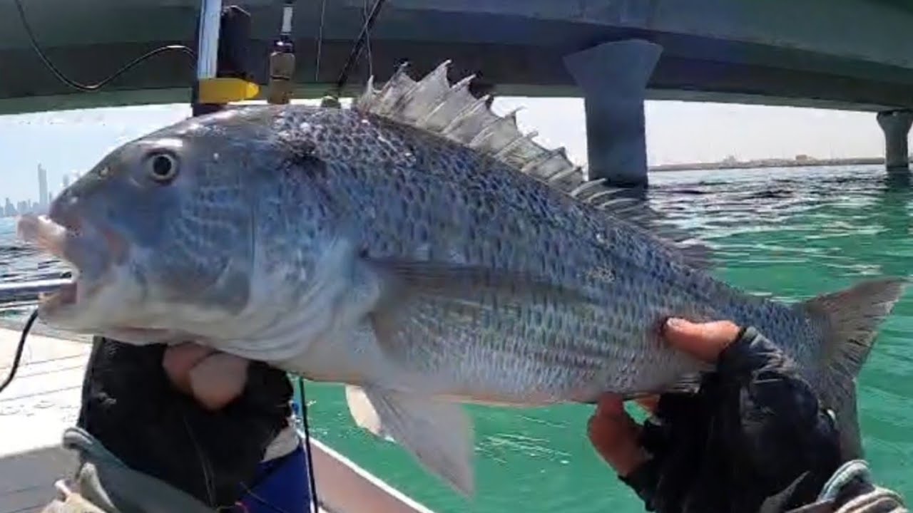 فاتحت خير على السكف الي صناعته وأول تجربه لي في