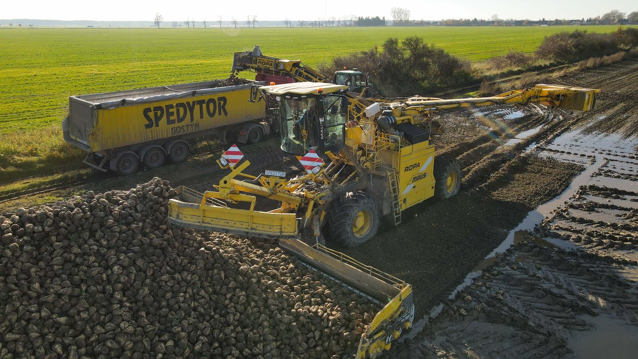 🔥Kampania Buraczana 2025 !🔥Odbiór Buraków w OHZ Garzyn