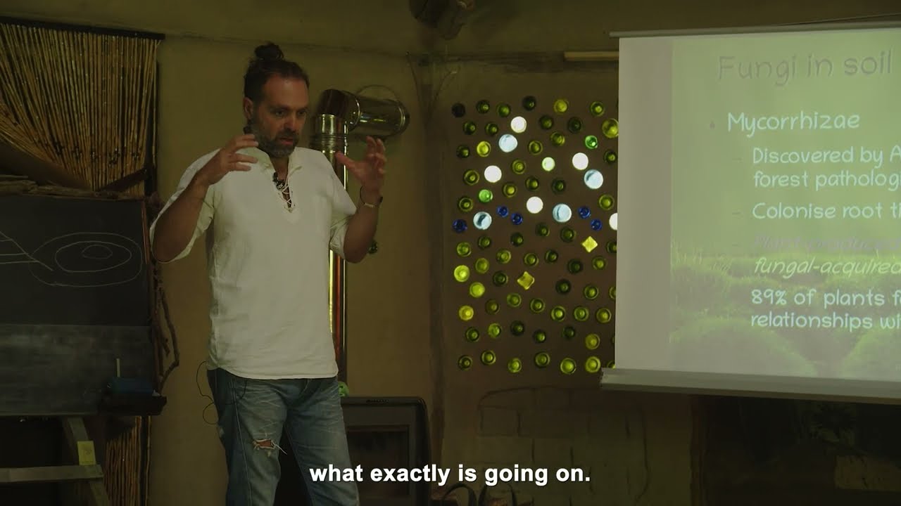 Fungi in Soil: Types and Applications by Nikolaos Gryspolakis @ The Fungi Regeneration Lab