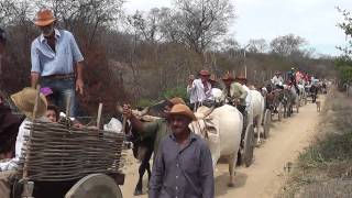 1º Encontro de Carro de Boi