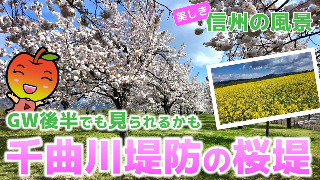 Natural scenery] You may be able to see it even in the second half