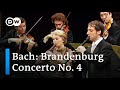 Bach: Brandenburg Concerto No. 4 | Claudio Abbado & the Orchestra Mozart