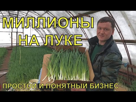 БИЗНЕС ЗИМОЙ. ВЫГОНКА ЛУКА НА ПЕРО. БИЗНЕС ИДЕЯ