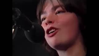 Bjork gling-glo