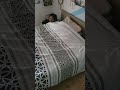 POV : Tu vas dormir #meme #humour #skecth #pov #povs #shorts #memes #humourfrançais #povcomedy