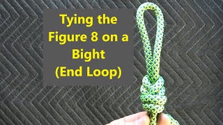 Tying the Figure 8 on a Bight (End Loop) 
