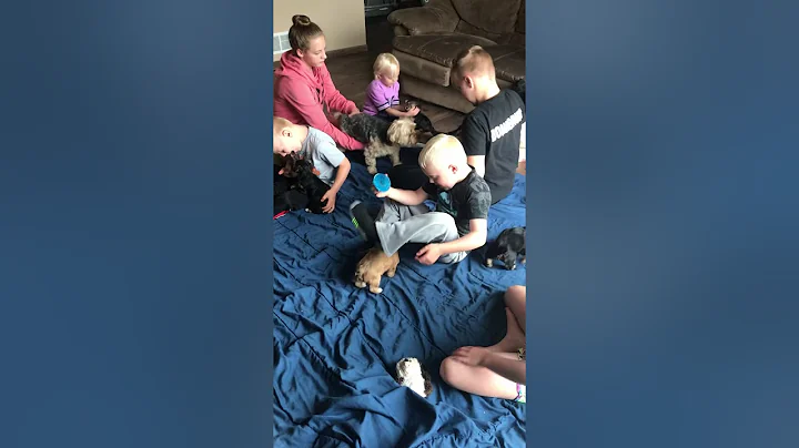 Cousins playing with puppies