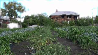 Fair Food Book Trailer