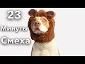 23 минут смеха до слез | Лучшие видео Тик Ток | Приколы Июнь 2022