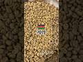 Kenya 🇰🇪 Kericho AA TOP(호재커피)#커피#원두#cafe#brewing#咖啡豆#烘培