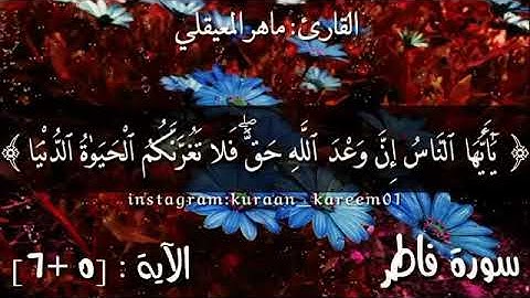 ماهر المعيقلي ما تيسر من سورة فاطر/ صوت جميل // حالات واتس اب وحالات انستقرام وحالات فيسبوك 😊😴