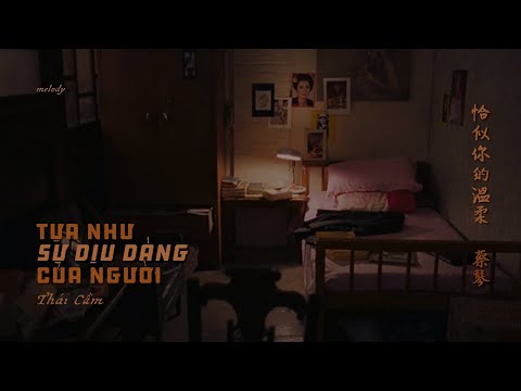 [Vietsub + Lyrics] Tựa Như Sự Dịu Dàng Của Người 恰似你的溫柔 - Thái Cầm | 蔡琴 | Tsai Chin