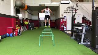 Linear Squat Jump