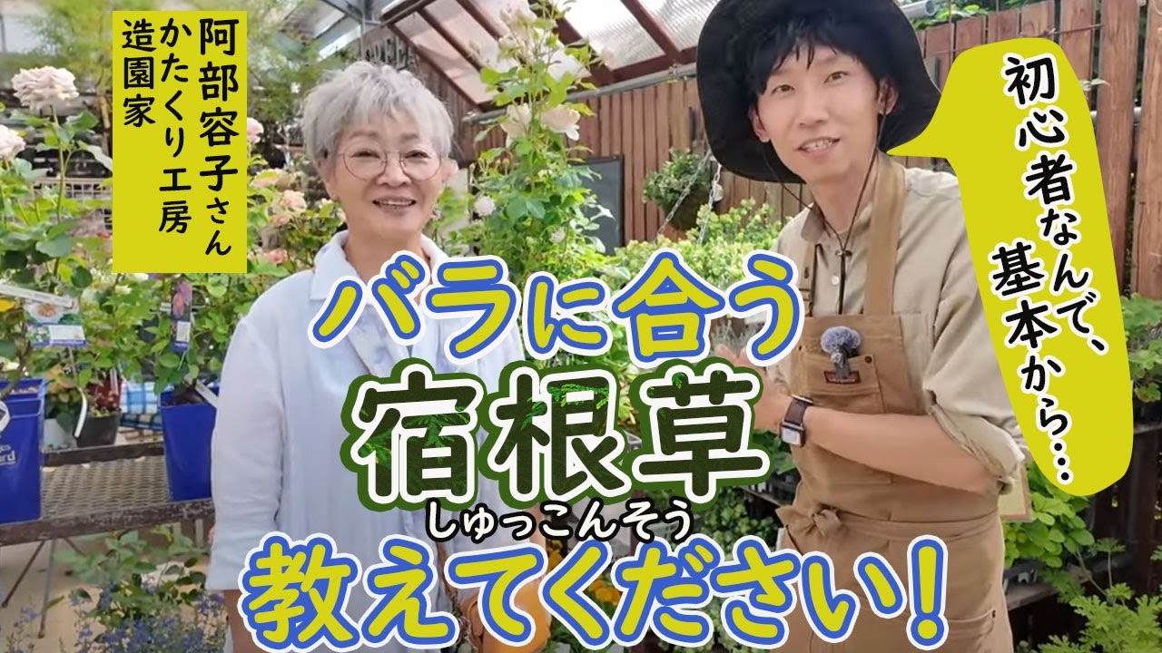 造園家 阿部容子さんに、バラに合う宿根草を教えてもらう。at横浜グリーンファームさん