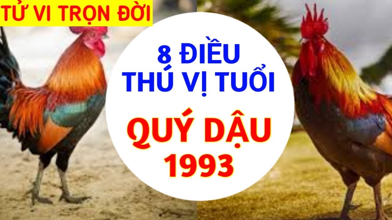 8 ĐIỀU THÚ VỊ VỀ TUỔI QUÝ DẬU - 1993 SỰ NGHIỆP TÍNH CÁCH VẬN MỆNH NGƯỜI TUỔI DẬU I TỬ VI 12 CON GIÁP