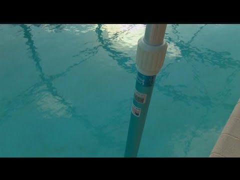 Naples man accused of drowning five ducklings in his pool