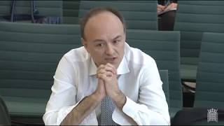 Cummings Single Market Treasury Committee