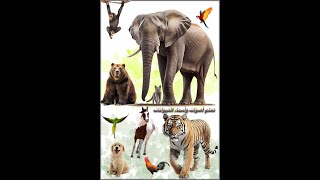 Animal Sounds Alphabetic in Google Play NOW screenshot 4