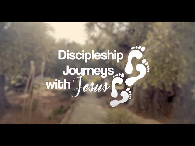 What Makes the DJJ  Materials Useful