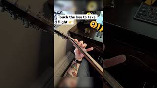 Flight of the Bumblebee Acoustic #shred #metal #acousticguitar #raybanmeta #bumblefoot #guitarsolo
