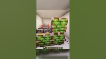 Hidden Bookshelf Base |  #minecraft #minecraftgameplay #minecraftbuilding #minecraftgaming  #gaming