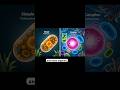 Simple vs Complex Cells | Prokaryotes and Eukaryotes Explain Clearly for Class 9, 10, and 11 Biology