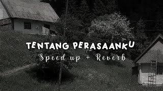 Irwansyah - tentang perasaanku speed up + reverb 