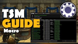 TSM Macro Guide World of Warcraft Addon How to Post Items the Fastest Way