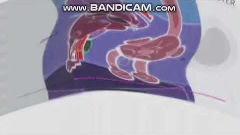 preview 2C&W V4 Effects round 2 vs CTVE2020 (2/15)