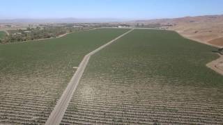 California Estate Property 7400 NL