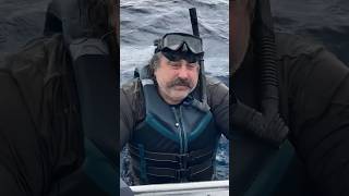 Avery Shoaf Swims with SHARKS in Florida! 🦈 What Could Possibly Go Wrong?!