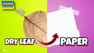 Ukraine's Amazing Startup Is Converting Dried Leaf to PAPER!