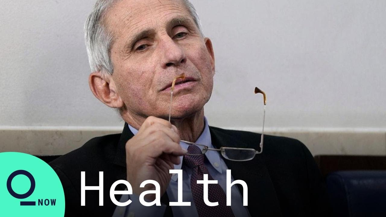  Fauci Effect Spurs Record Number Of Medical School Applicants YouTube