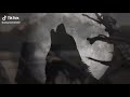 الشيخ محمد الشيخ السرياني عندك عشرة خبيها شبع عيالك بيها الشيخ العراب 