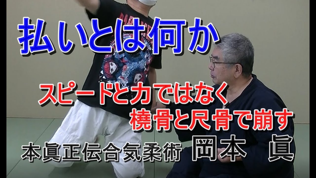 合気柔術チャンネル　技術・理合#042 　払いとは何か　aiki 　makoto okamoto