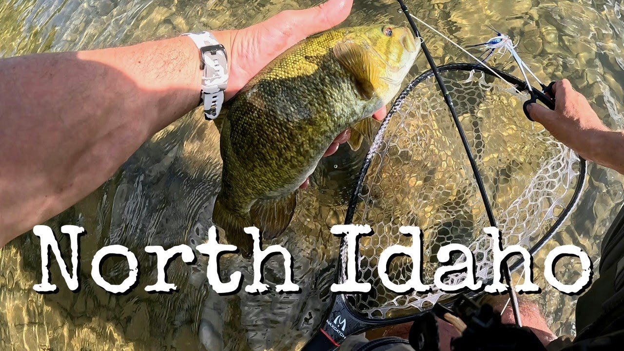 North Idaho Bass - Fly Fishing Adventures