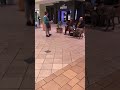 “Therapy” Dog Pretends To Be A Service Dog: Law Breaker Gets Aggressive When Educated “Therapy” Dog Pretends To Be A Service Dog: Law Breaker Gets Aggressive When Educated