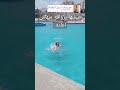 مصيف مطروح تابعونا وشرح تفصيلي لمدينة مطروح مطروح مصيف مطروح تابعونا وشرح تفصيلي لمدينة مطروح مطروح