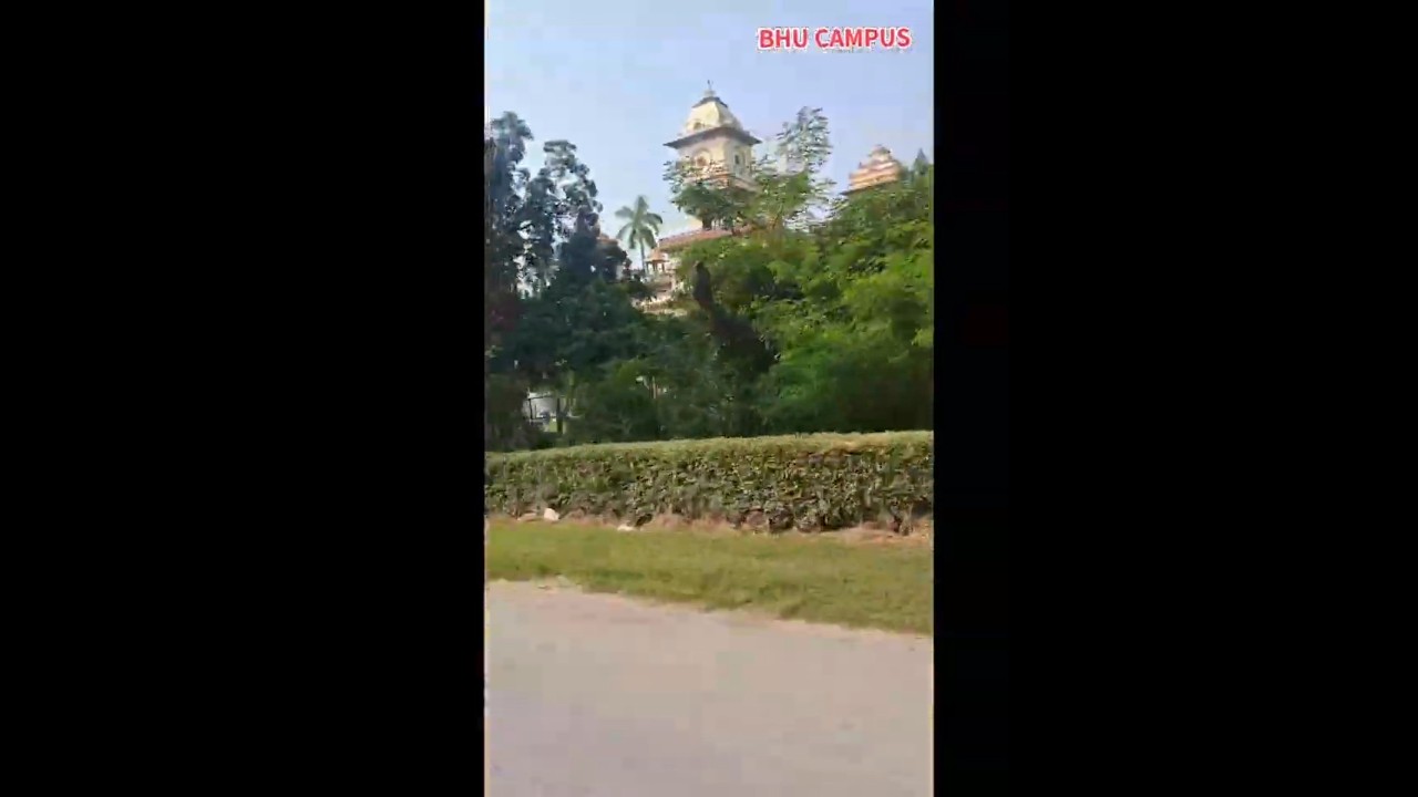 what happened@my birthday 😴Birthday Begins with Blessings✨ Temple Visit