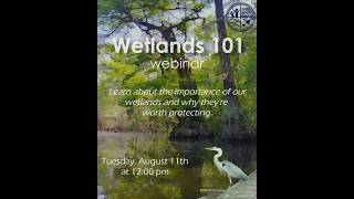 Information Wetlands 101 Webinar- South Carolina Conservation Coalition Update