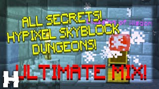 Every single SECRET INSIDE HYPIXEL SKYBLOCK DUNGEONS!! // ULTIMATE MIX!! // Secret Count/Room Size.