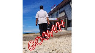 Download Lagu GOYAH MP3