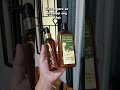 HairReve Shampoo and Serum