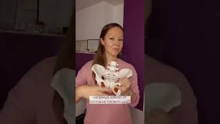 Лицо и тазовое дно
