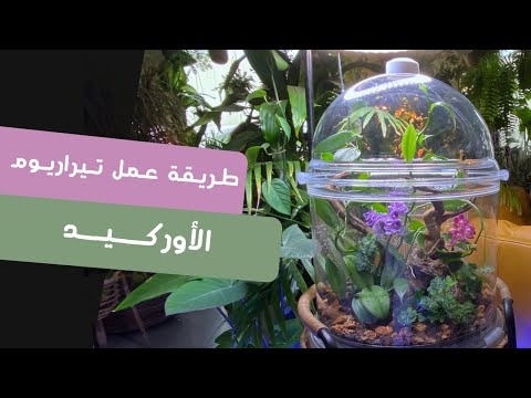 طريقة عمل تيراريوم الأوركيد فى المنزل     