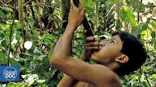 Amazonian Tribes Hunting