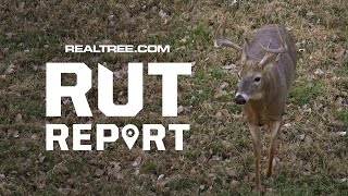 NOVEMBER 8th RUT Report | Midwest and Eastern Hunting Report | Realtree Road Trips