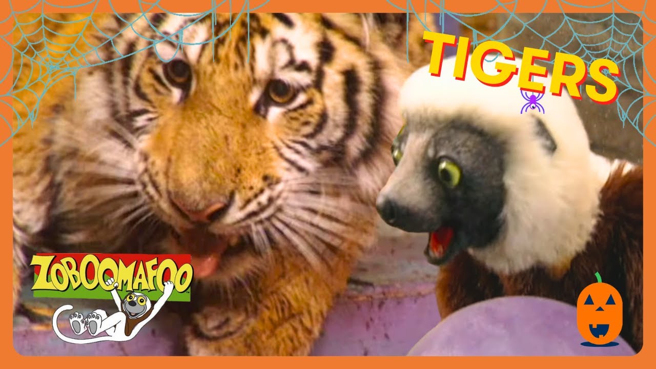 Zoboomafoo - Pop Goes the Tiger 🐯 | HD Full Episodes | Great For Kids | WildBrain Zigzag