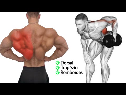 Treino Rápido Para Desenvolver Dorsais Com Ryan Terry